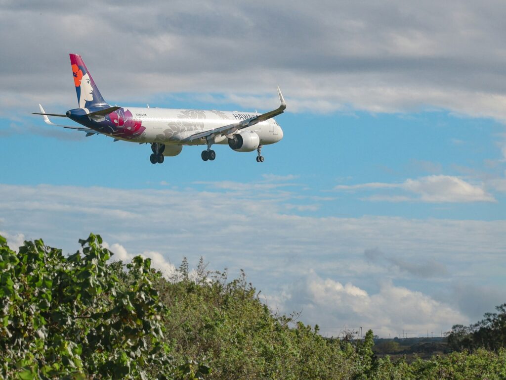 義妹のハワイ挙式をきっかけにマイルを本気で貯め始めた50代女性の旅行準備